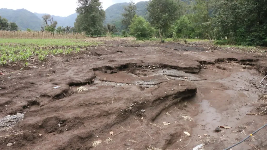 Más de mil ganaderos veracruzanos afectados por inundaciones 1 Más de mil ganaderos veracruzanos afectados por inundaciones