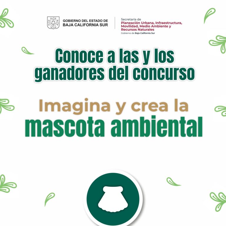 Niños sudcalifornianos ganan concurso “Imagina y crea la mascota ambiental”