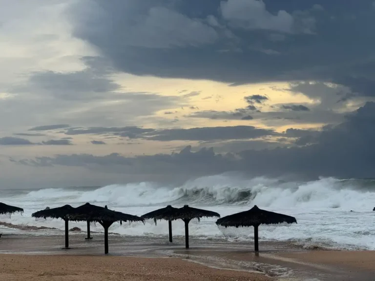 Priscilla se debilita a tormenta tropical; continúa alerta en BCS