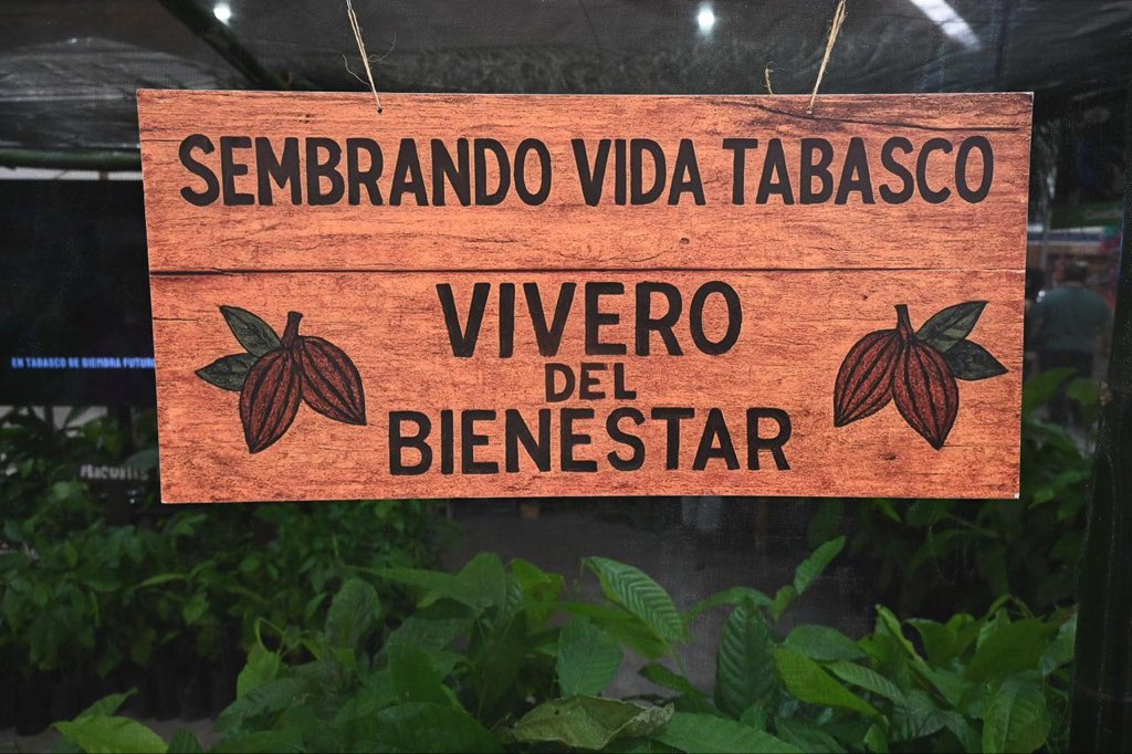 Planta de Chocolate Bienestar se construirá en Tabasco 1 Planta de Chocolate Bienestar se construirá en Tabasco