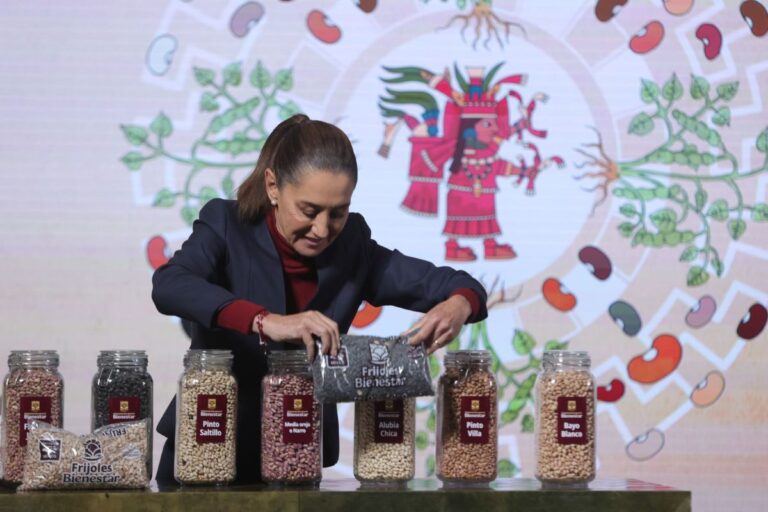Primera Feria Nacional del Frijol impulsará producción local