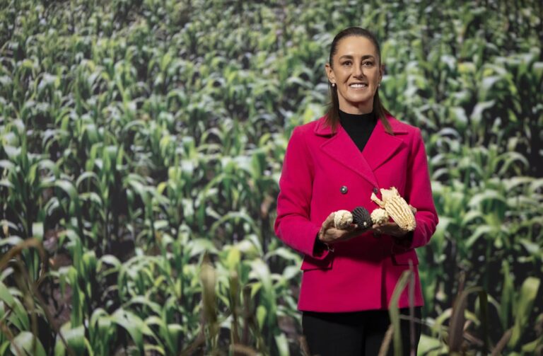 México impulsa programa para fortalecer el maíz nativo