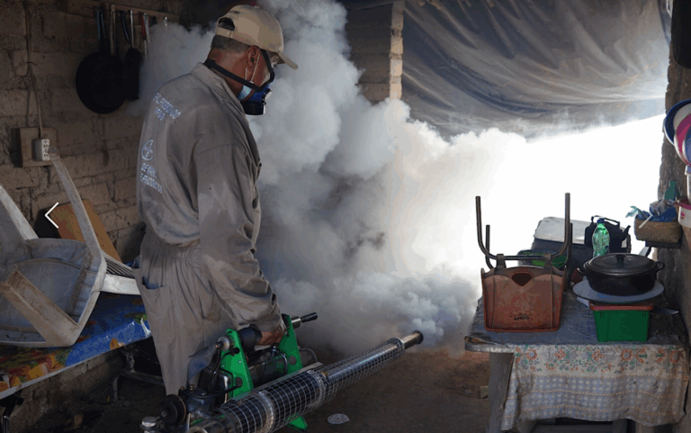 Sonora intensifica fumigación ante aumento de casos de dengue