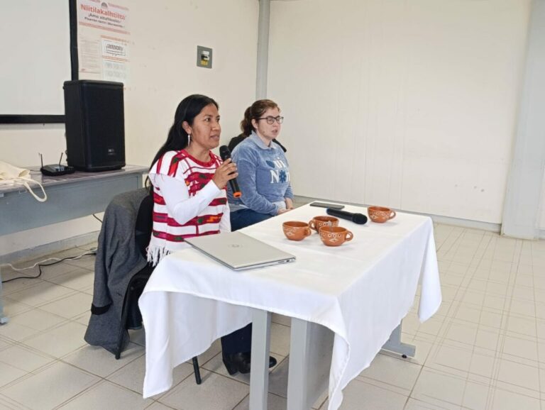 Abogadas indígenas acusan retroceso en paridad en Oaxaca