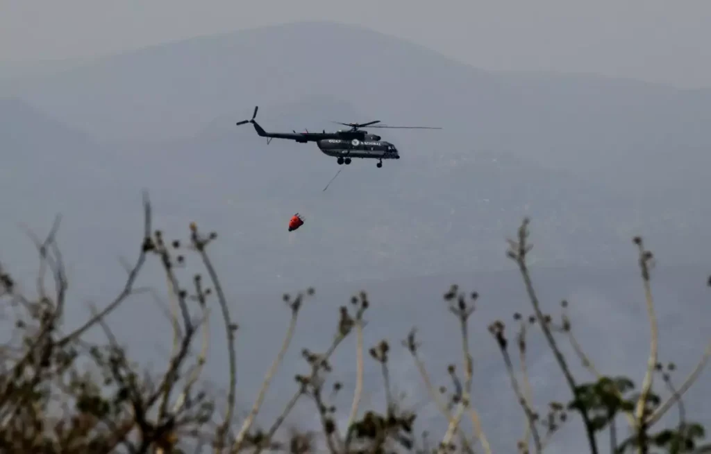 Guardia Nacional apoyará vigilancia ambiental federal 1 Guardia Nacional apoyará vigilancia ambiental federal
