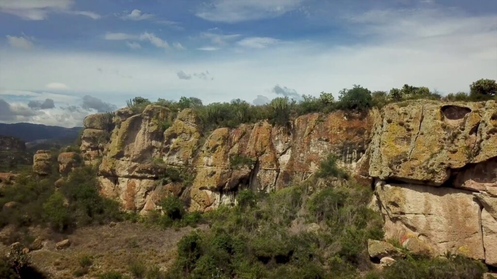 Guardia Nacional apoyará vigilancia ambiental federal 2 Guardia Nacional apoyará vigilancia ambiental federal