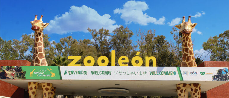 Zoológico de León reabre tras cumplir observaciones de Profepa