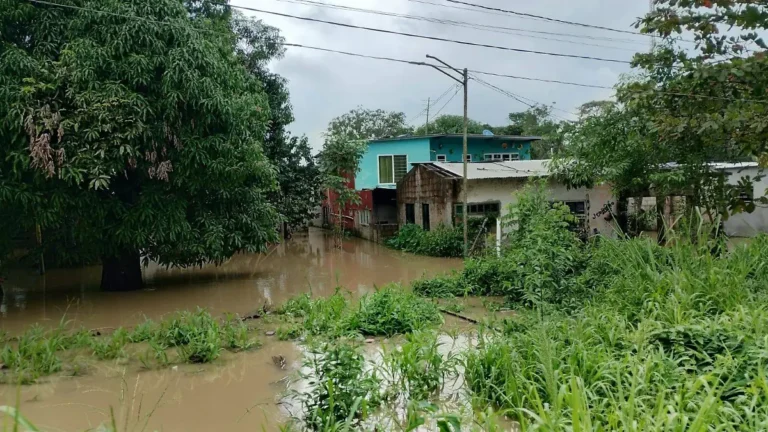 Desbordamiento de ríos deja 49 viviendas afectadas en Tabasco