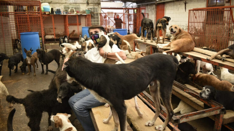 FGJ aclara que no resguarda predio del Refugio Franciscano