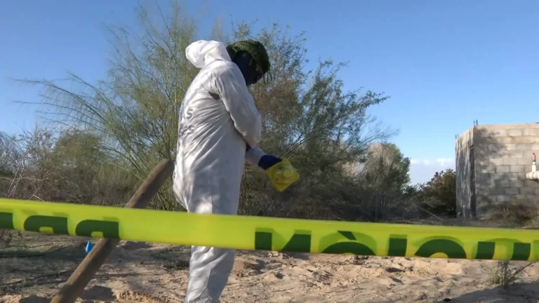 Hallan restos de al menos cuatro personas en fosas del Valle de Mexicali