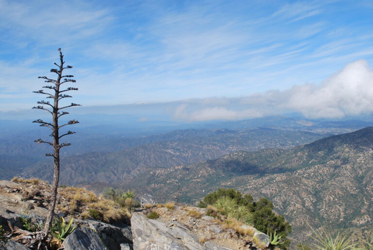 Alertan por proyecto en la Sierra de la Laguna