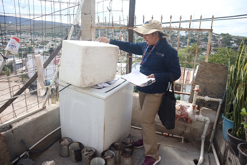 Atendió SSA más de 94 mil hectáreas con brigadas de control larvario en 2025 1 Atendió SSA más de 94 mil hectáreas con brigadas de control larvario en 2025