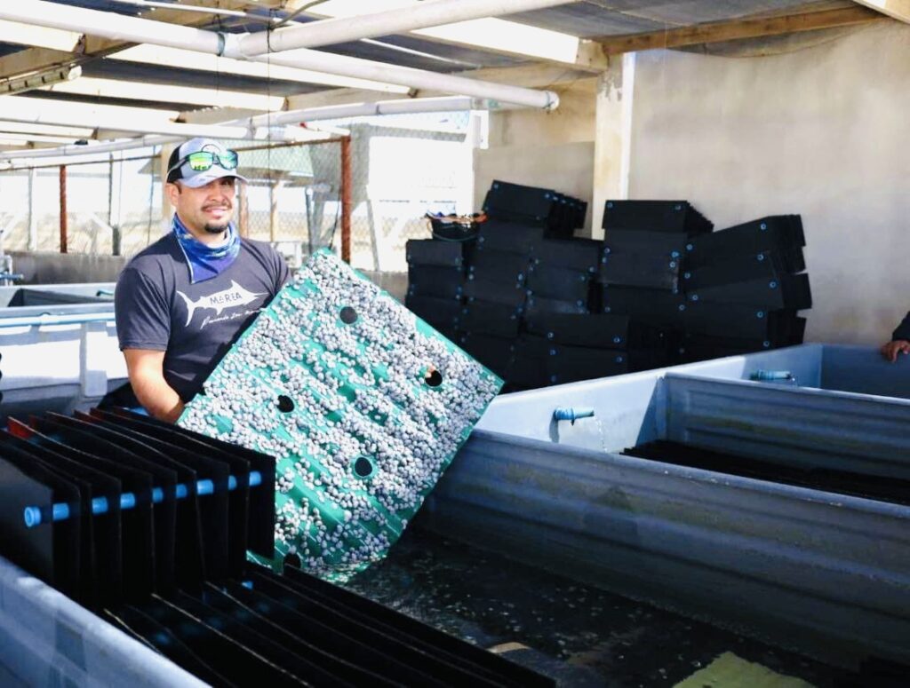 Presenta SEPADA balance de acciones en apoyo al sectorprimario