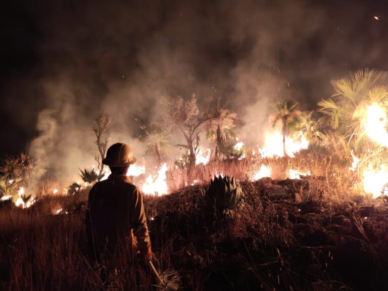 Prevén incendios forestales más intensos en 2026