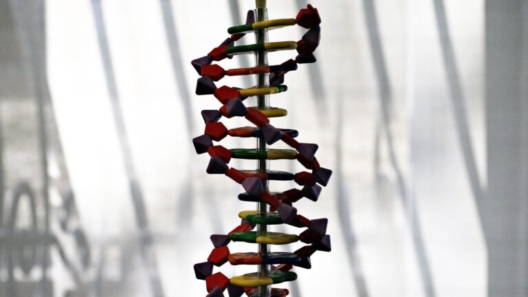 Estudio revela pistas sobre el ancestro común de toda la vida