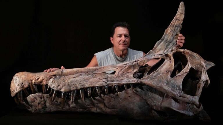 Nuevo Spinosaurus revela que no era totalmente acuático