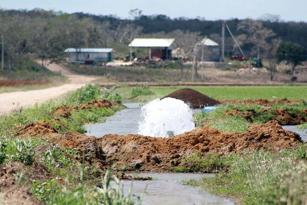 Agroindustria daña territorio maya en Campeche 2 Agroindustria daña territorio maya en Campeche