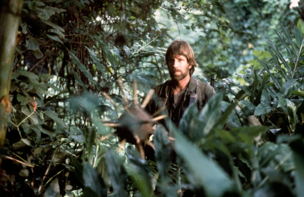 Muere Chuck Norris, ícono del cine de acción 3 Muere Chuck Norris, ícono del cine de acción