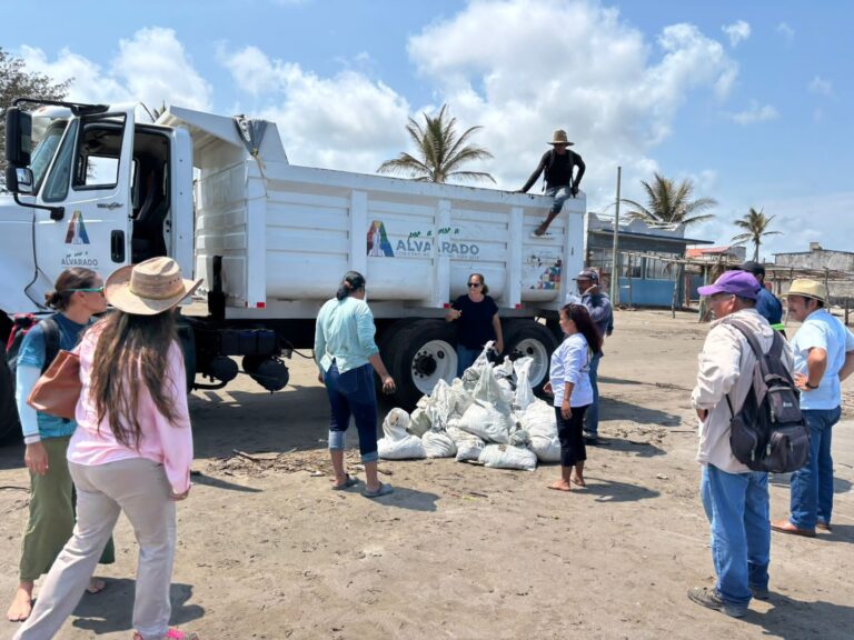 Hidrocarburo afecta áreas naturales protegidas del Golfo
