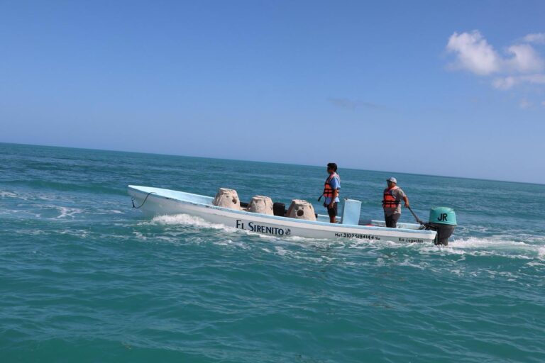 Río Lagartos impulsa arrecifes artificiales en la costa de Yucatán