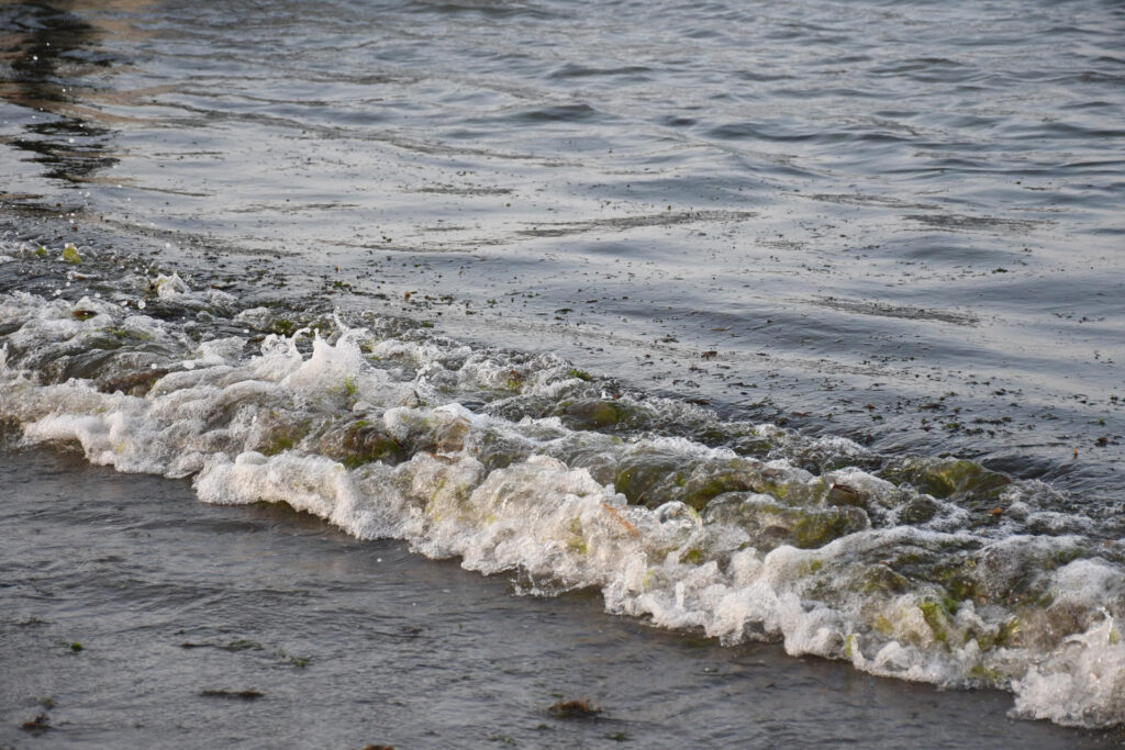 Sheinbaum crea grupo permanente por derrame en Golfo de México 1 Sheinbaum crea grupo permanente por derrame en Golfo de México