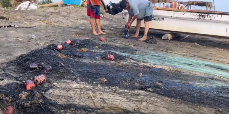 Derrame de hidrocarburo se extiende a playas de Veracruz