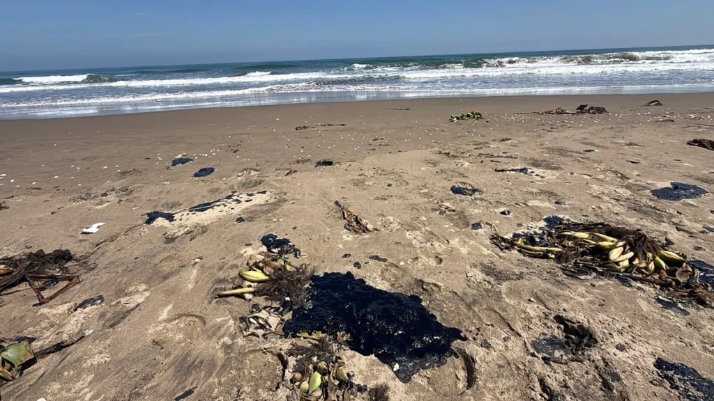 Nahle rectifica sobre origen de derrame en Veracruz 1 Nahle rectifica sobre origen de derrame en Veracruz