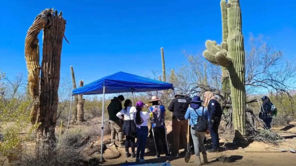 Hallan restos humanos en desierto de Sonoyta 2 Hallan restos humanos en desierto de Sonoyta