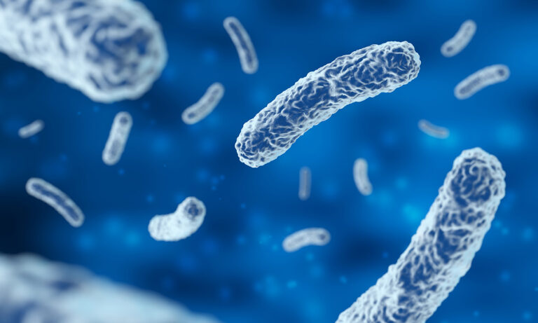 Nueva terapia con bacterias busca combatir el cáncer