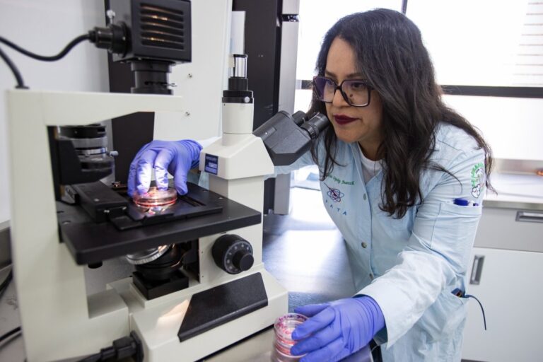 UNAM detecta nanomateriales en alimentos comerciales