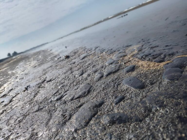 Derrame de hidrocarburo afecta costas de Veracruz