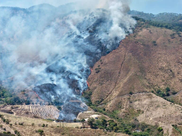 Combaten incendio en cerro de San Juan en Nayarit