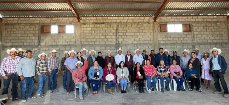Capacitarán a ganaderos de Baja California Sur