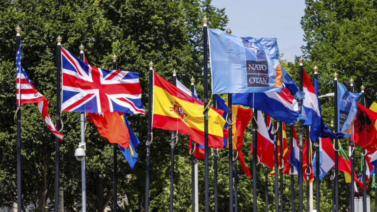 OTAN evalúa reducir cumbres en medio de tensiones