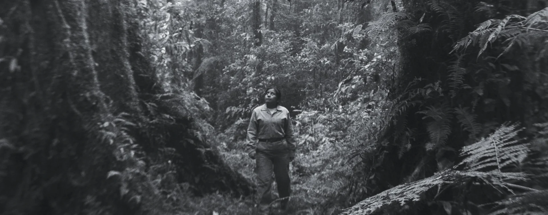 2 “La reserva” gana premio en Cinelatino Toulouse