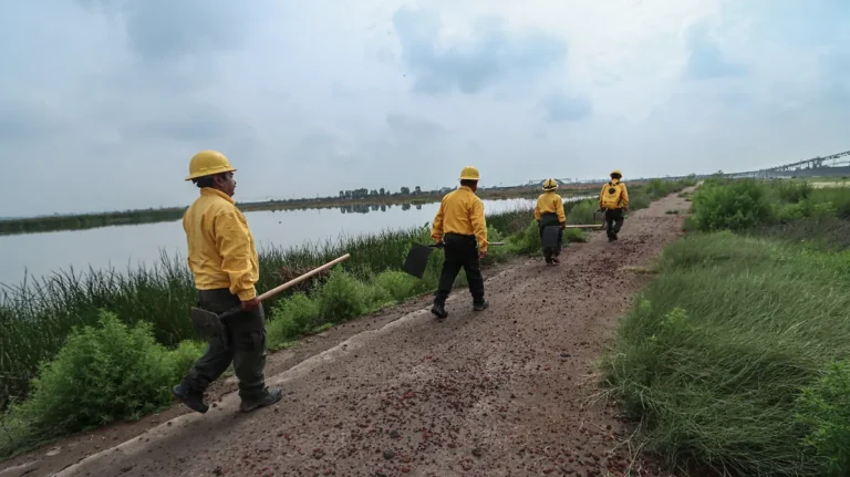 Recolectores del lago de Texcoco denuncian retrasos en permisos