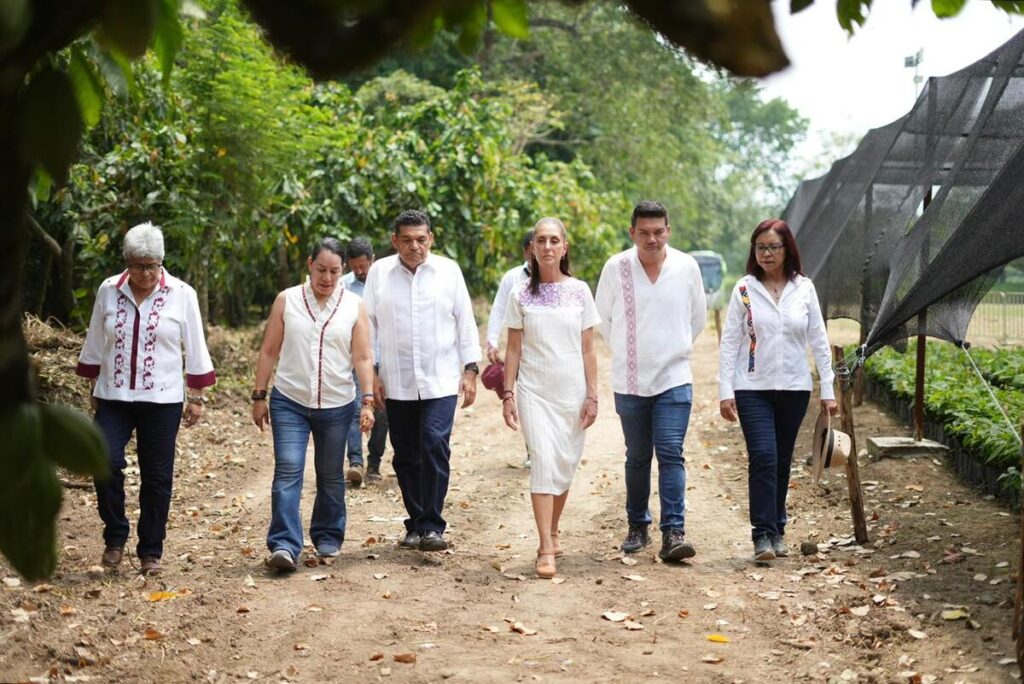 Sheinbaum promete precio justo al cacao 2 Sheinbaum promete precio justo al cacao