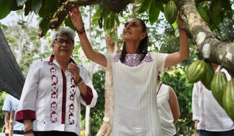 Sheinbaum promete precio justo al cacao