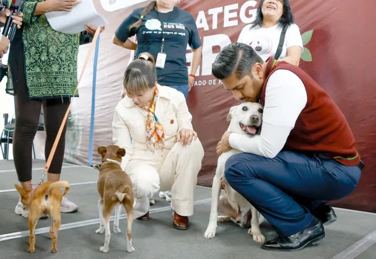 Nezahualcóyotl lanza plan CERA contra perros callejeros