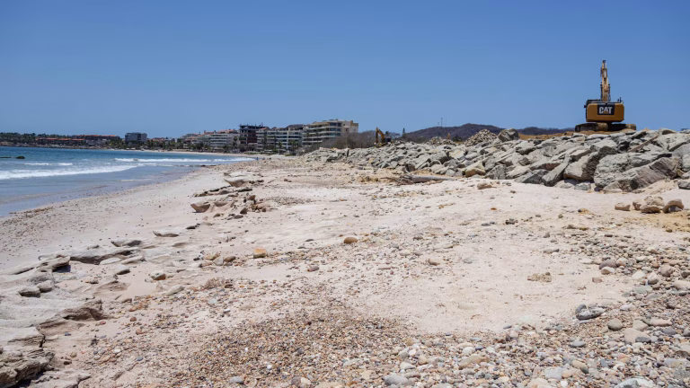 Denuncian ecocidio en playa Las Cocinas de Punta de Mita