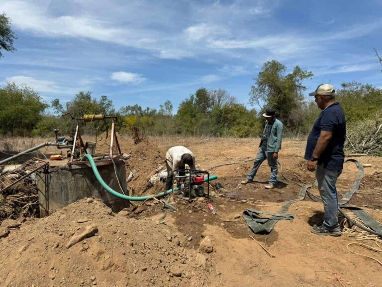 Sequía afecta a 18 municipios de Sinaloa