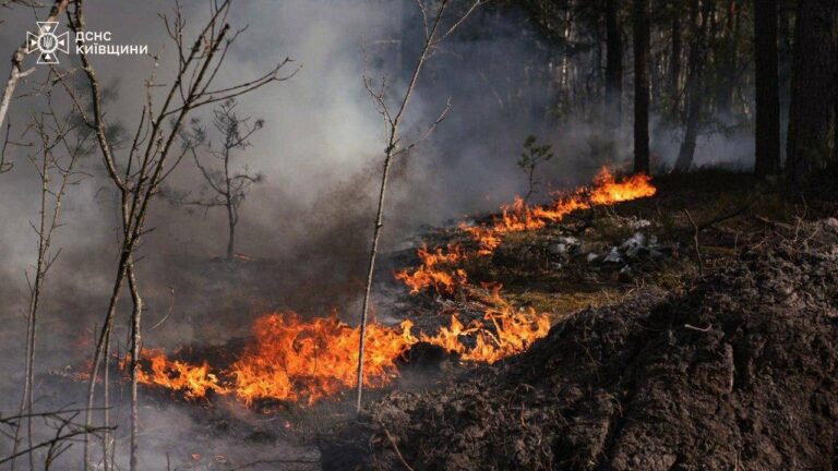 Incendio forestal avanza en zona de Chernóbil