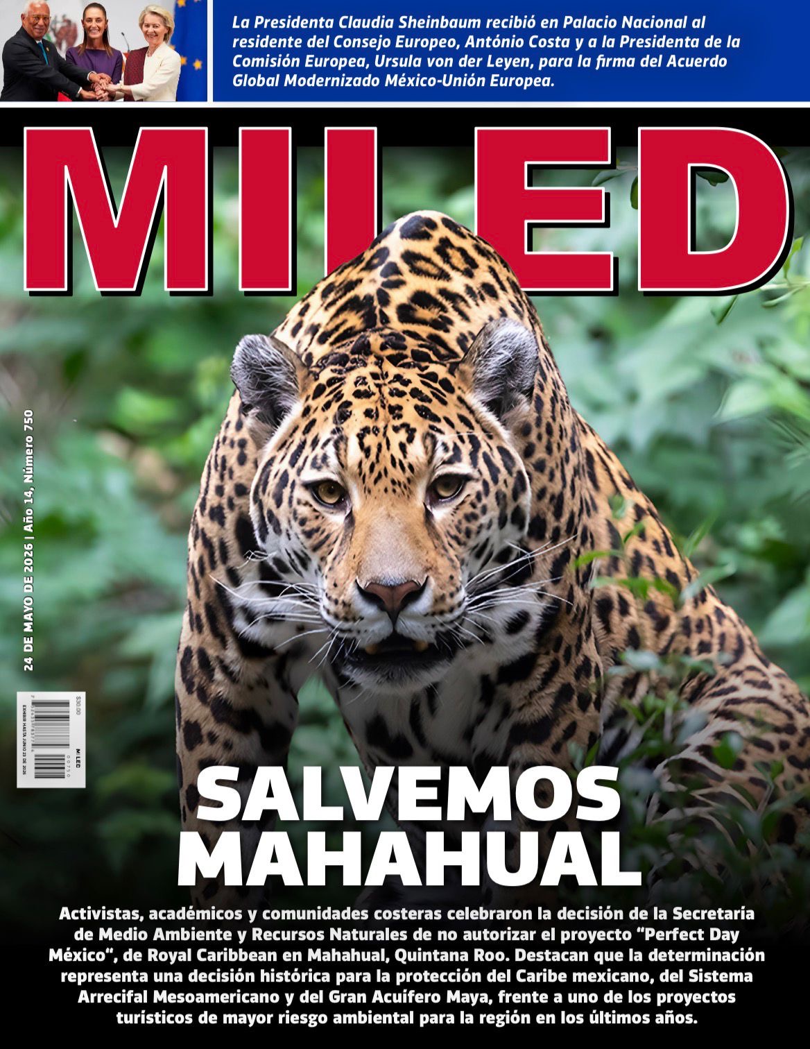 Miled 17 spot_img