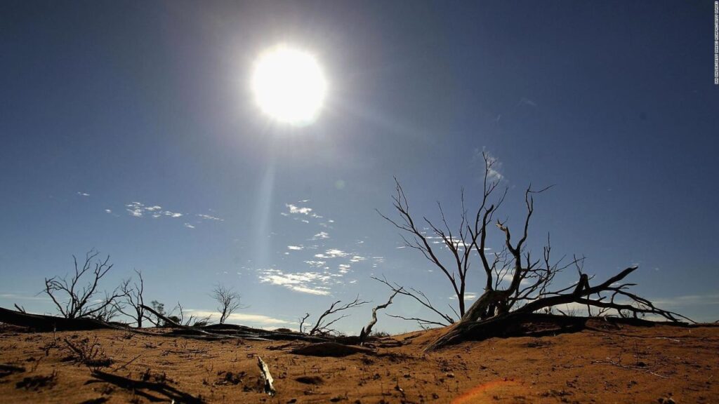 OMM alerta por posible regreso de El Niño en 2026 1 OMM alerta por posible regreso de El Niño en 2026