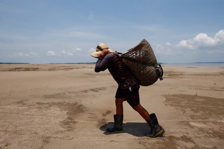 OMM alerta por posible regreso de El Niño en 2026