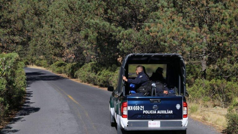 Operativos reducen 95% la tala ilegal en el Ajusco