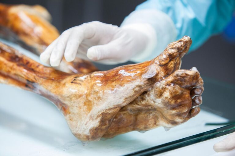 Científicos hacen pan con levadura hallada en Ötzi