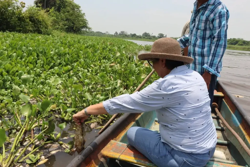 Pescadores alertan por daño ambiental en la Cuenca del Papaloapan 1 Pescadores alertan por daño ambiental en la Cuenca del Papaloapan