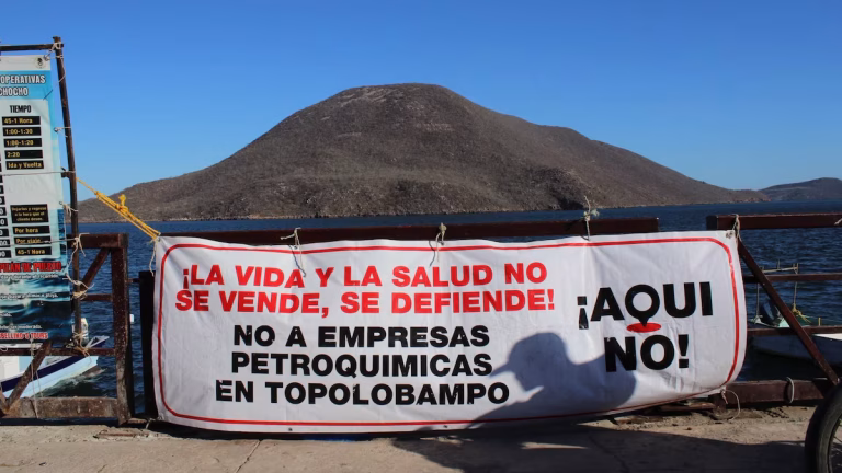 Ambientalistas rechazan planta en Topolobampo