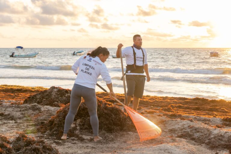 Semarnat reporta avances en limpieza de playas